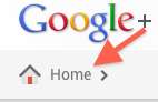 google-plus-home-button